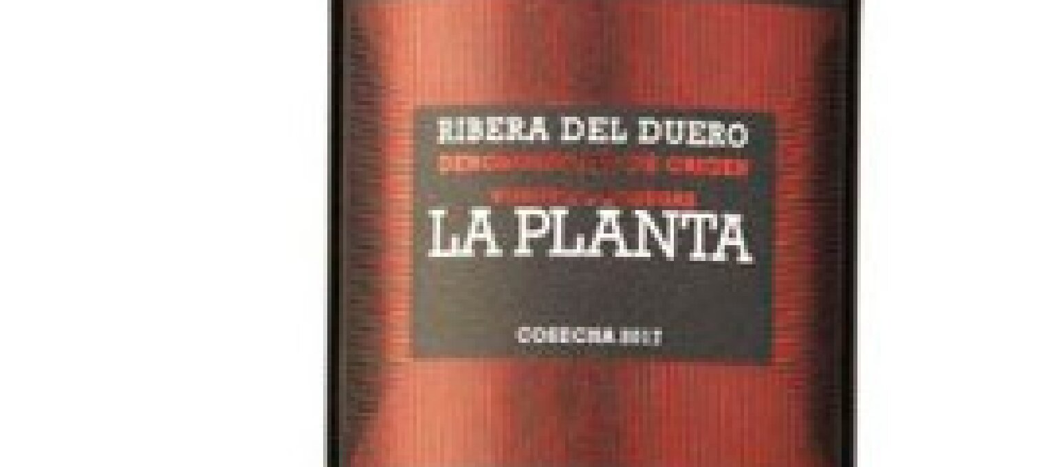 LA PLANTA